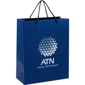 Altitude Dazzle Midi Paper Gift Bag