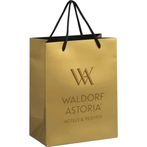 Altitude Dazzle Mini Paper Gift Bag