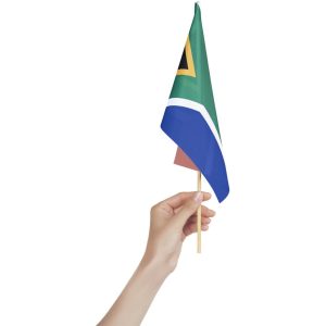 Champion Small Hand Flag - 30cm x 20cm printed by Express Print
