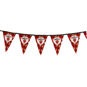 Sublimated Single-Sided Polyester Triangle Bunting - 10m printed by Express Print