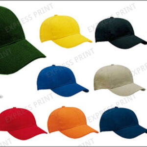 6 Panel Heavy Brushed Cap