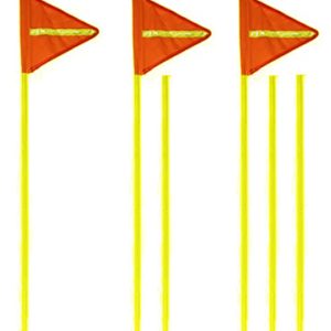 Buggy Whip with Reflective Flag and Pole