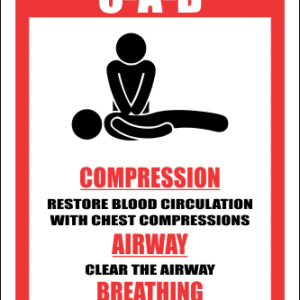 FA31 - CPR Is As Easy As C-A-B Bign
