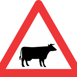 W310 - Domestic Animals (Cattle) Road Sign