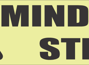 C-HZ9L - Mind Your Step Safety Sign (300x80mm)